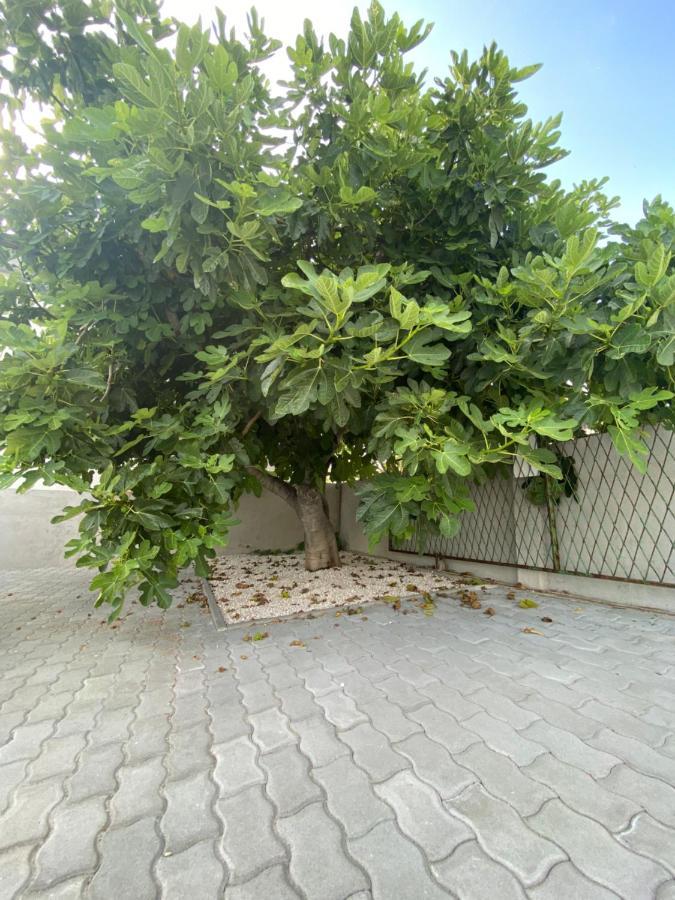 Villa Sabina - Apartments Kroatien Ražanac Esterno foto