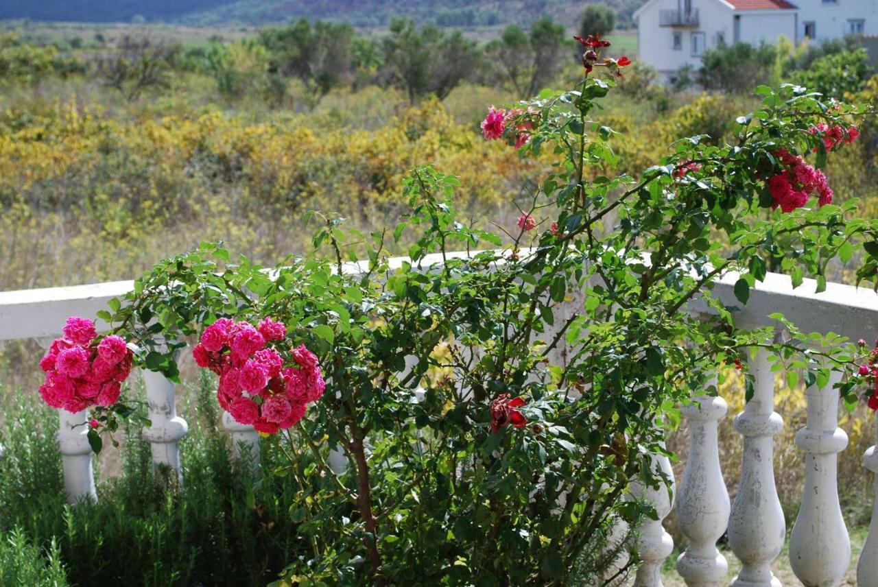 Villa Sabina - Apartments Kroatien Ražanac Esterno foto